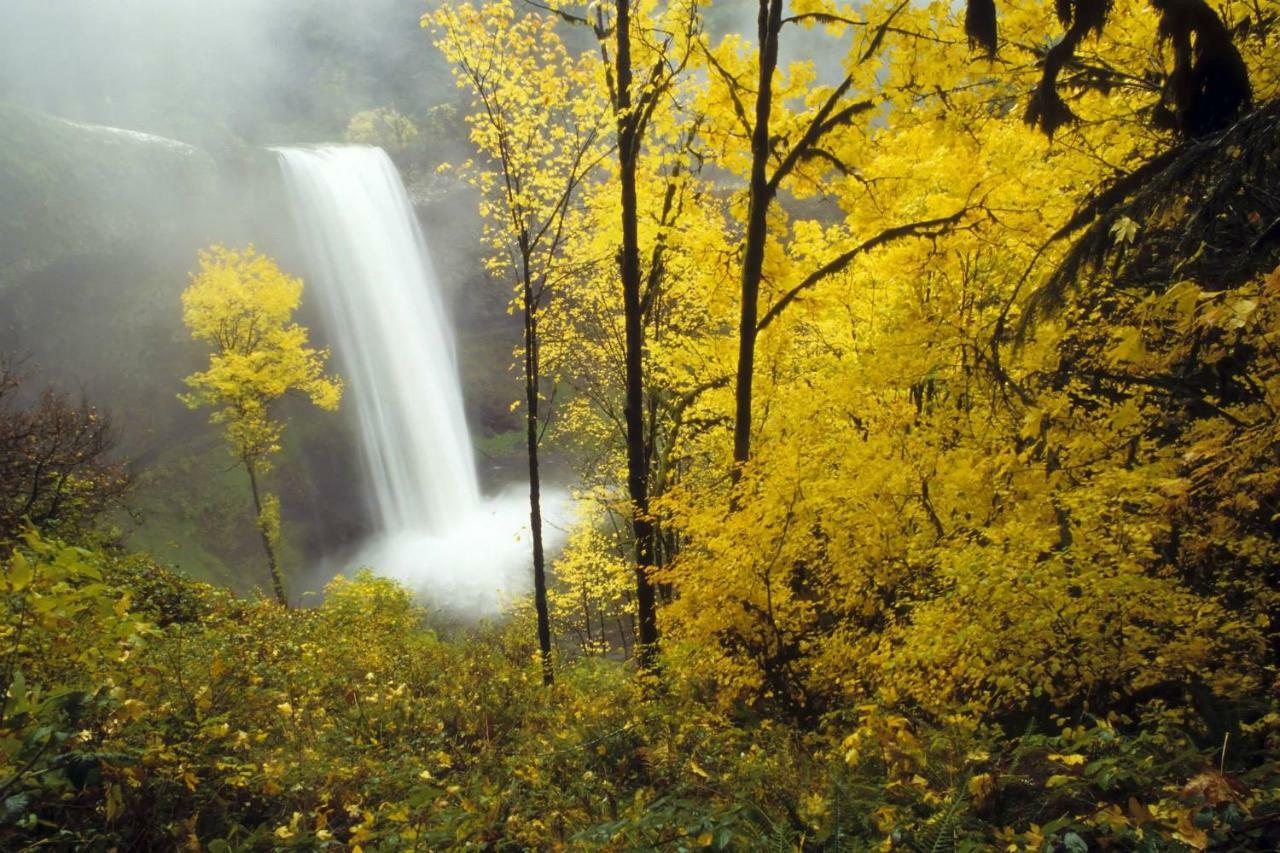 Silver Falls Lodge & Conference Center Sublimity Esterno foto